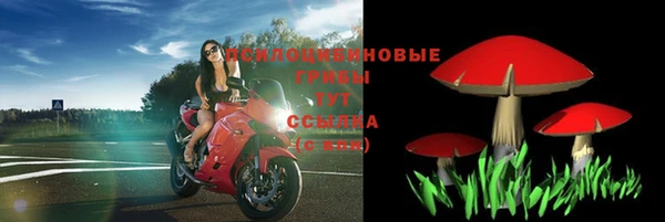 мет Горно-Алтайск