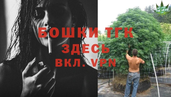 прущие грибы Горнозаводск
