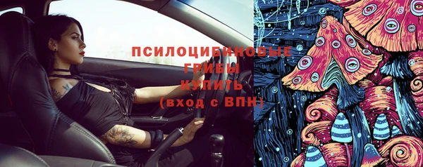 прущая мука Гусиноозёрск