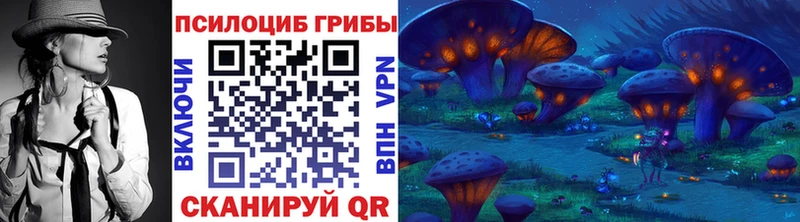 цены   Оха  площадка Telegram  Галлюциногенные грибы Psilocybe 