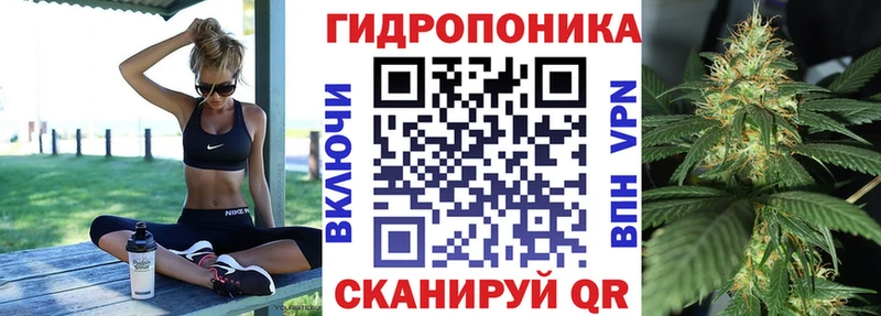 darknet Telegram  Оха  Бошки марихуана White Widow  дарнет шоп 